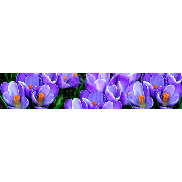 Фартук 227
